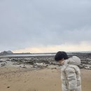 곰섬파라다이스2 - 태안군 곰섬로 574-22 | 곰섬파라다이스2