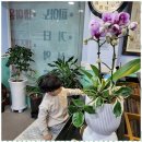 즐거운피아노 음악학원 이미지