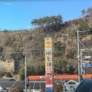 추억의 새조개 맛집 홍성 남당항 새조개 축제 새조개 샤브샤브 게국지 간월도어리굴젓