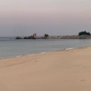 공현진항(활어회센터) 이미지