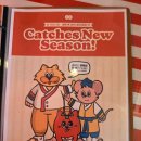 피자죠 | 광주 동명동 캐치스피자 주말방문 세트메뉴 후기