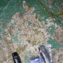 신상계자동차정비공업사 이미지