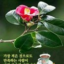 옷니엘 이미지
