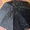 제796차, 환상적 벚꽃길이 더해진 진동-주도 해안길을 걷고 이미지
