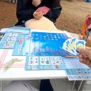 🎲 행복한 바오밥 신작 보드게임 체험 후기｜해녀 미니 확장판 포함 7종 플레이 내돈내산