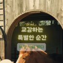 강인목장 이미지