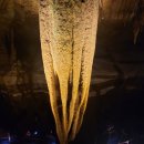 천곡황금박쥐동굴 이미지