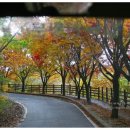 연인의길(조형물10 이미지