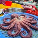 백가네 | 삼척중앙시장맛집 추천, 문어숙회 부드러운 삼척문어맛집 백가네문어 후기