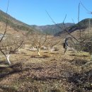 성실농원 이미지