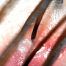 뷰테이지 살롱(Beautage salon) | [건대/성수 두피스칼프] 피부만큼 중요한 두피케어! 뷰테이지의 두피관리 고객 후기