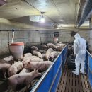 혁신한국체육산업개발 노동조합 | 보존위한 모든 조치 취할 것”, 김지형경제사회노동위원회위원장한국노총방문, 김용석대광위원장“광명...