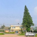 영천리 마을회관 이미지