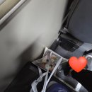8호선 문정역(개찰구 밖) | [서울 송파구] 9년째 운영중 "플로리움" 꽃 화분 후기 / 문정동 꽃집 / 문정역 꽃집