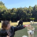 판포길담 이미지