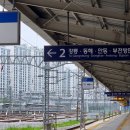 진부로/송정길 이미지