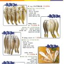 범양수산 이미지