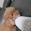 뚜레쥬르 부산동의대역점