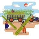 돈 벌면 성인 돼서도 IQ 높아진다 이미지