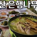 금불사 칼국수 이미지