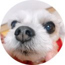 주식회사 코너헬스
