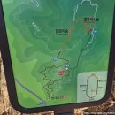 용인별바라기 | 자작나무숲_인제 유명 겨울여행지,인제 자작나무숲 후기,강원도 겨울 산행,인제 자작나무숲 아이젠 착용...