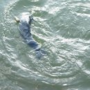 자연농원 이미지