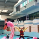 장유스파랜드 수영장 이미지