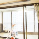 코디커텐 이미지