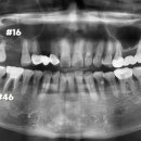 연세내일치과의원 이미지