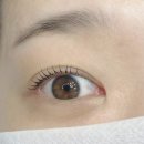 성북구 길음동 속눈썹펌 맛집을 찾다! 피부과 10년 경력의 '온뷰티 ON BEAUTY'