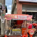 꽃과야초건강원