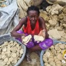 흥성목장 이미지