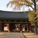 전주중앙상가 이미지