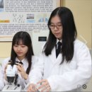 양재고등학교 이미지