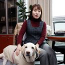 해인의원 이미지