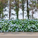 안성리 마을회관 이미지