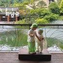 여름숲 | 경기도 광주 아이와 가볼만한 곳, 화담숲 여름 수국 산책 후기