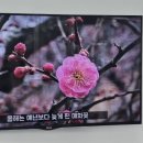 보아스뷰티 이미지