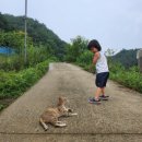 영덕군농업기술센터 | 6일간의 만남 여행, 영덕군 농업기술센터 농부를 만나다. by 포토테라피스트 백승휴.
