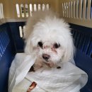 신장로90번길 이미지