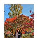 온양불고기 이미지