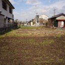 입석초등학교 이미지