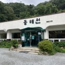 또또또짬뽕 | 제 마음속 전국 1등 짬뽕, 또또또 또간집 명불허전 '동해원' 내돈내산 후기! (feat. 베이커리 밤마을...