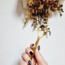 위드피시 이미지