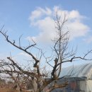 진원농장 이미지