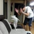 촌놈 이미지