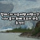 주노카 | 알래스카 자유여행 비행시간 시차 물가 화폐 오로라 관측 총정리