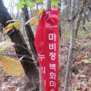 마비정 누리길 이미지