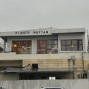 마백반 분식 이미지